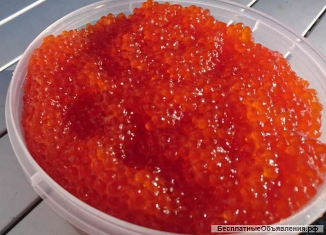 Камчатская икра от производителя