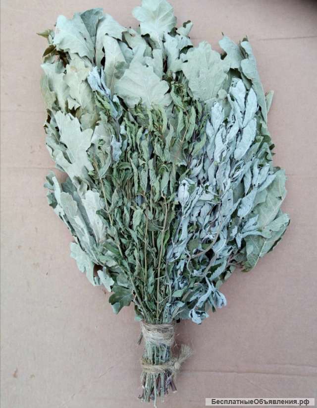 Дубовые веники