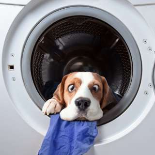 Ремонт водонагревателей Electrolux Ballu Zanussi Гарантия