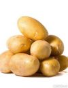 Семенной картофель