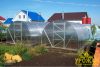 Теплицы серии Урожай