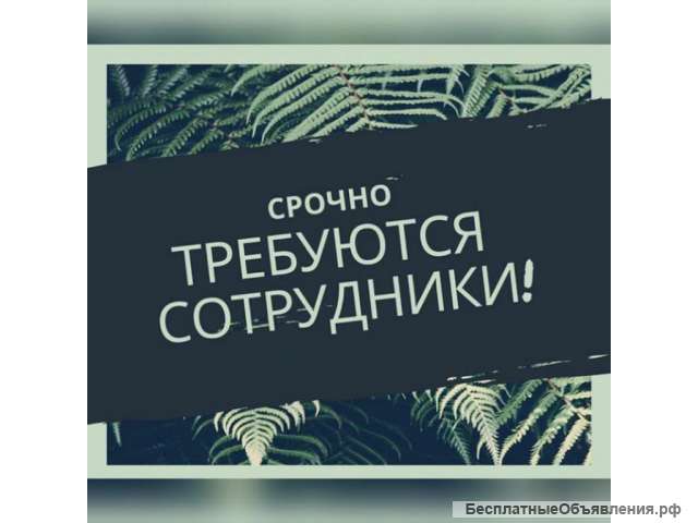 Работа курьером