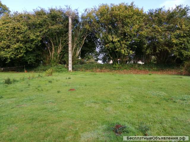 Участок 600 сот. по Евпаторийской трассе