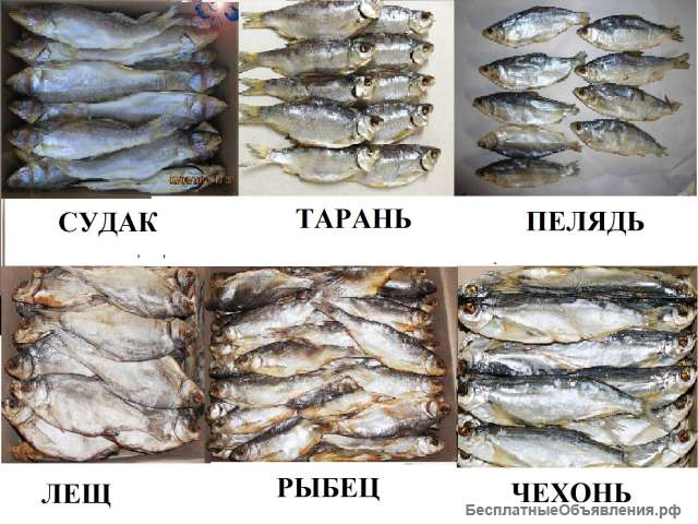 Рыба вяленая, рыба сушеная, сушёные морепродукты, сушеное, вяленое мясо, орехи, весовые снеки, заку