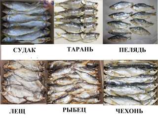 Рыба вяленая, рыба сушеная, сушёные морепродукты, сушеное, вяленое мясо, орехи, весовые снеки, заку