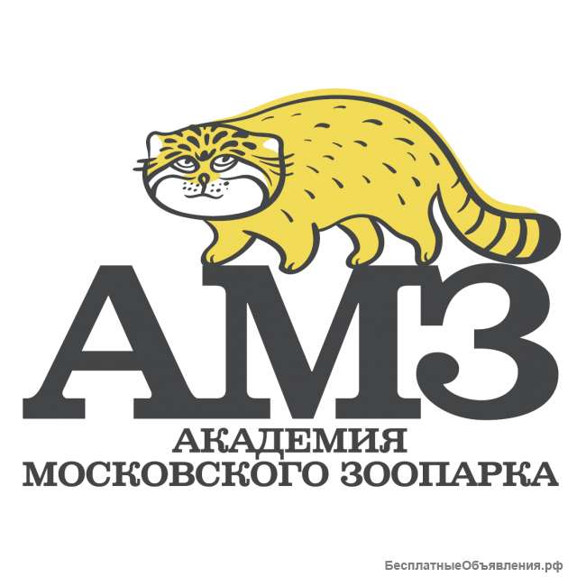 Поддержание животными-домашними питомцами психологического благополучия своих хозяев