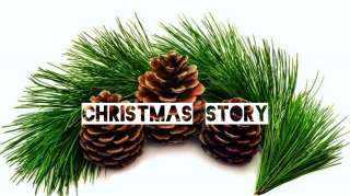 Новогодняя живая сосна. Доставит сам Дед Мороз