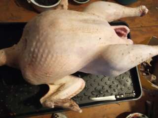 Мясо индейки