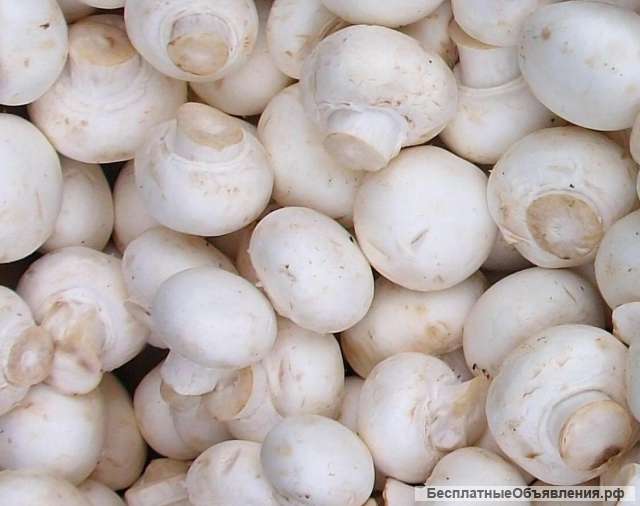 Требуется продавец