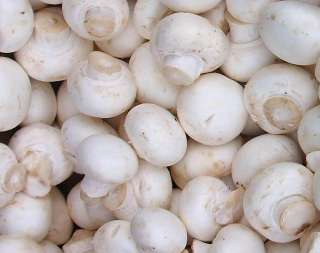 Требуется продавец