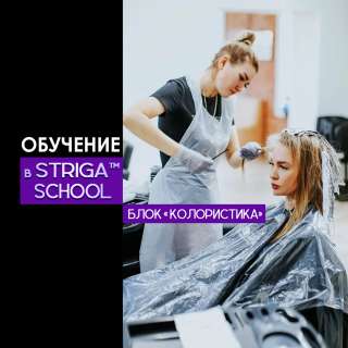 Парикмахерские курсы. Базовое обучение колористике