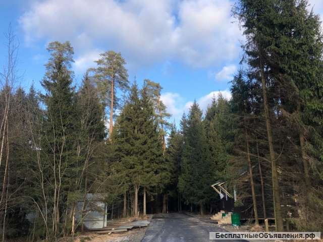 Участок в поселке в лесу на Рублевке по низкой цене