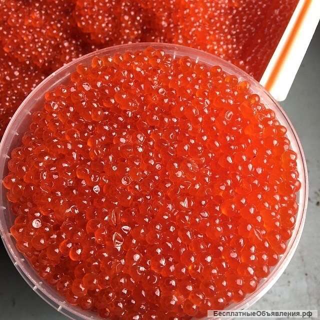 Икра красная. Прямые поставки с Камчатки