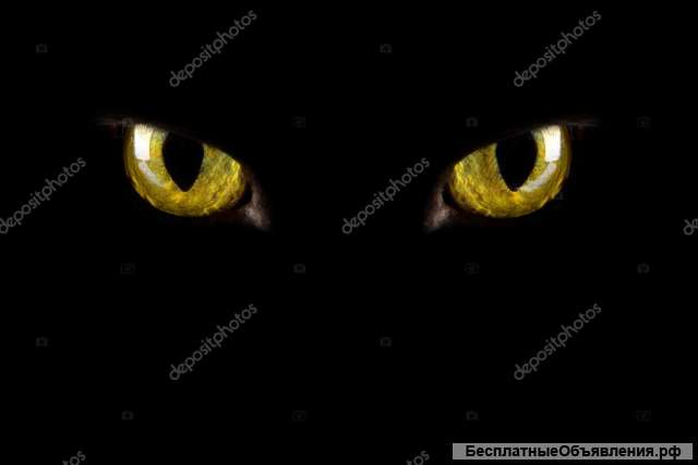 Гадание Помощь Консультация