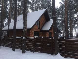 Дом в сосновом лесу