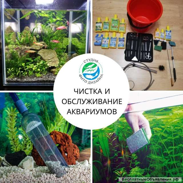 Обслуживание аквариумов