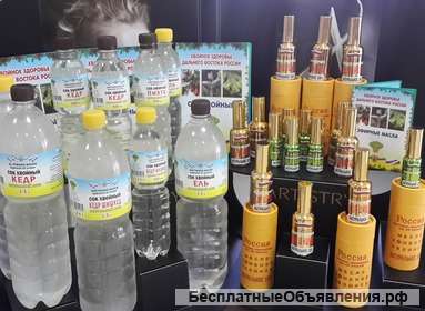 Инвестировать в проект "Хвойная сила". Многопрофильное производство из сырья живой хвои.