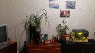 Длительный срок