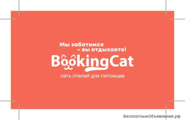 Ассистент ветеринарного врача/зооняня