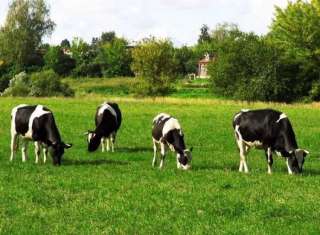 Требуется продавец-кассир