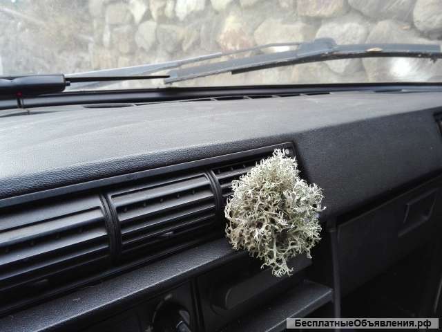 Живой ароматизатор-ионизатор Исландский мох цетрария в авто