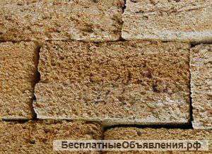 Ракушечник крымский