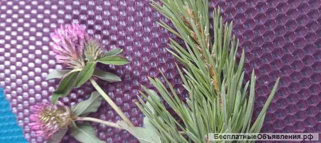 Целитель, убираю негатив, очищение