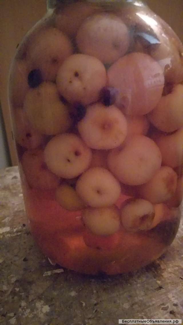 Ячейку/ овощехранилище