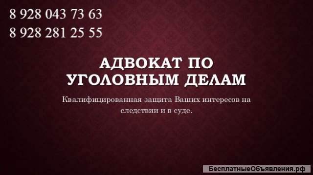 Адвокат по уголовным и гражданским делам