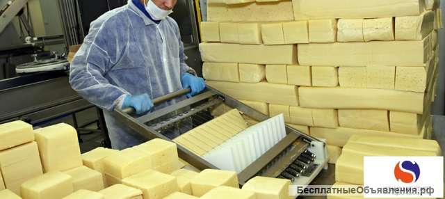 Упаковщики сыра на производстве