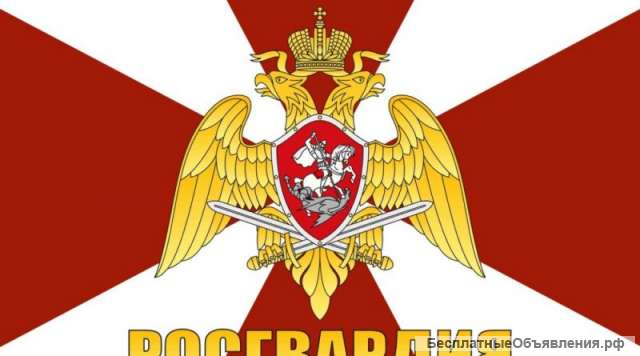 Служба по контракту
