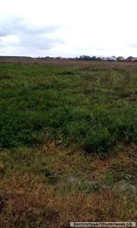 Участок 6 га Евпаторийское шоссе