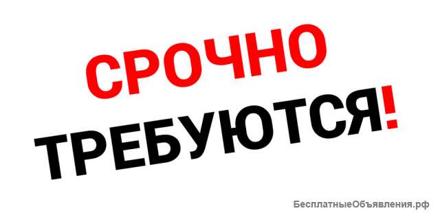 На склад в городе Серпухове требуется упаковщик-комплектовщик мелкой фурнитуры (ежедневная оплата)