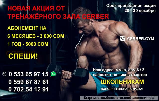 НОВАЯ акция от тренажёрного зала Cerber