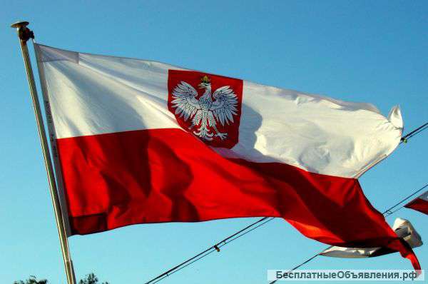 Польский язык