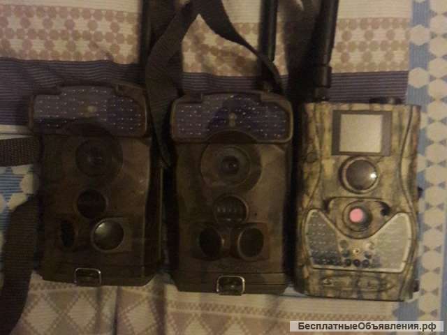 Фотловушки LTL Acorn и ScoutGuard