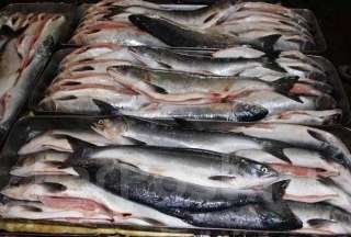 Рыба и морепродукты