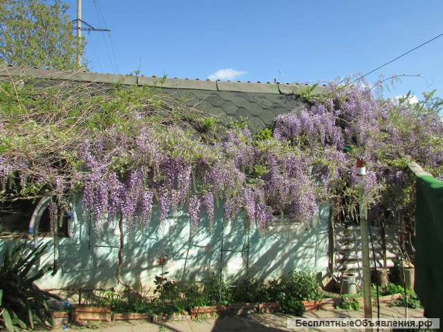 Участок с домом у моря