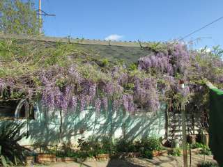 Участок с домом у моря