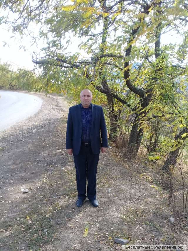 Ищу работы