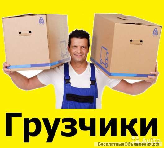 Предоставляю услуги грузчиков