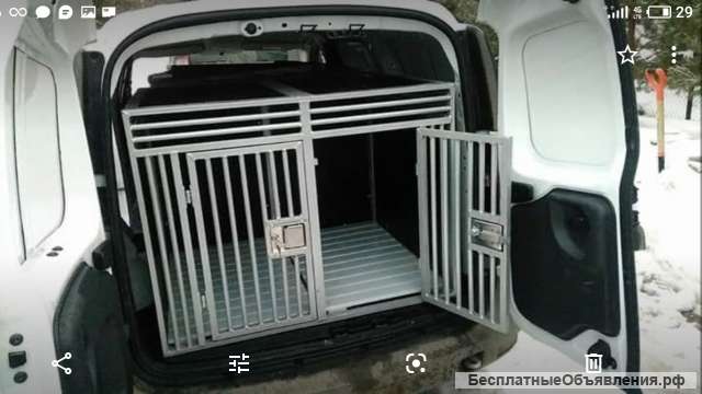 Кинолог Рязань