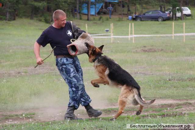 Специалист-кинолог