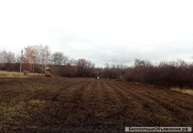 Земельного участка 72 сот. в д. Карташовка Липецкой обл.