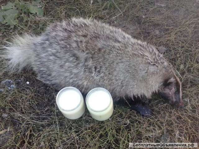 Барсучий жир