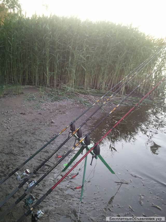 Трипод фидерный