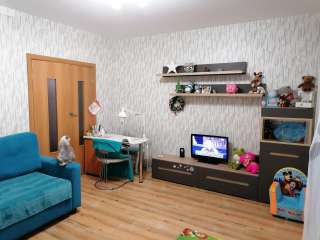 1-комнатная квартира ул.Петра Подзолкова 5в