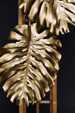 Diplom Interior Designer