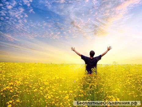 Гештальт психолог