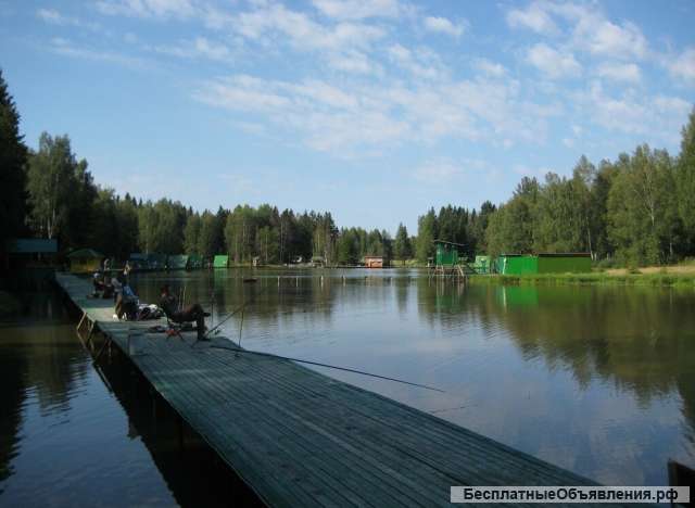 Земельный участок